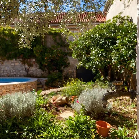 Vila Vicina Milna (Brac)